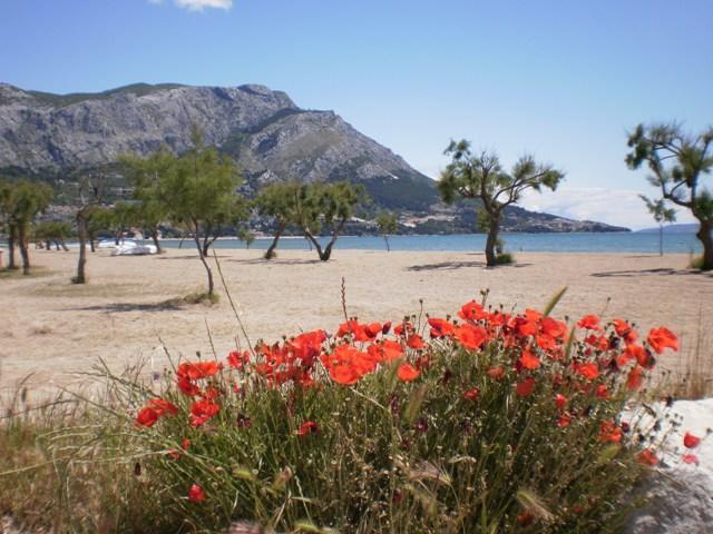 Lägenhet Danka Omiš